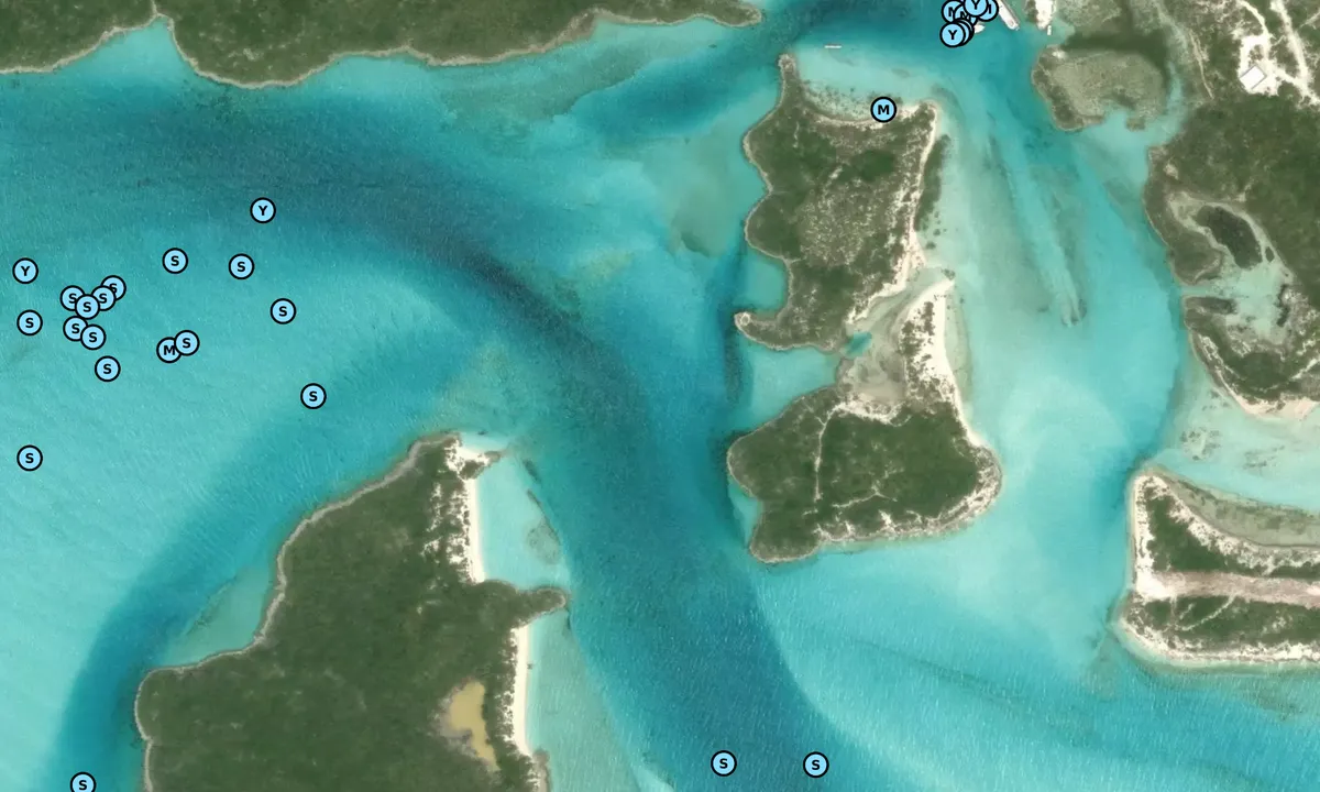Satelite image of Day Visit to see the Sharks