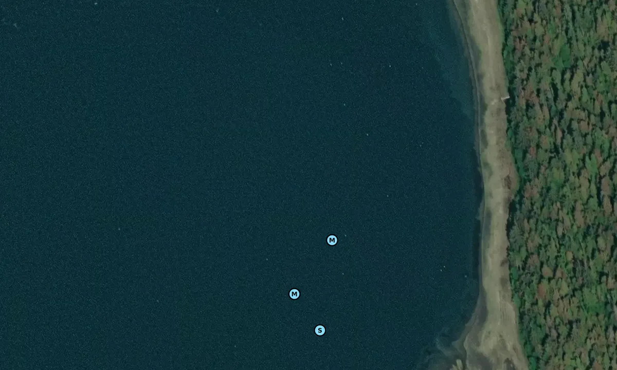 Satelite image of December Point Bight