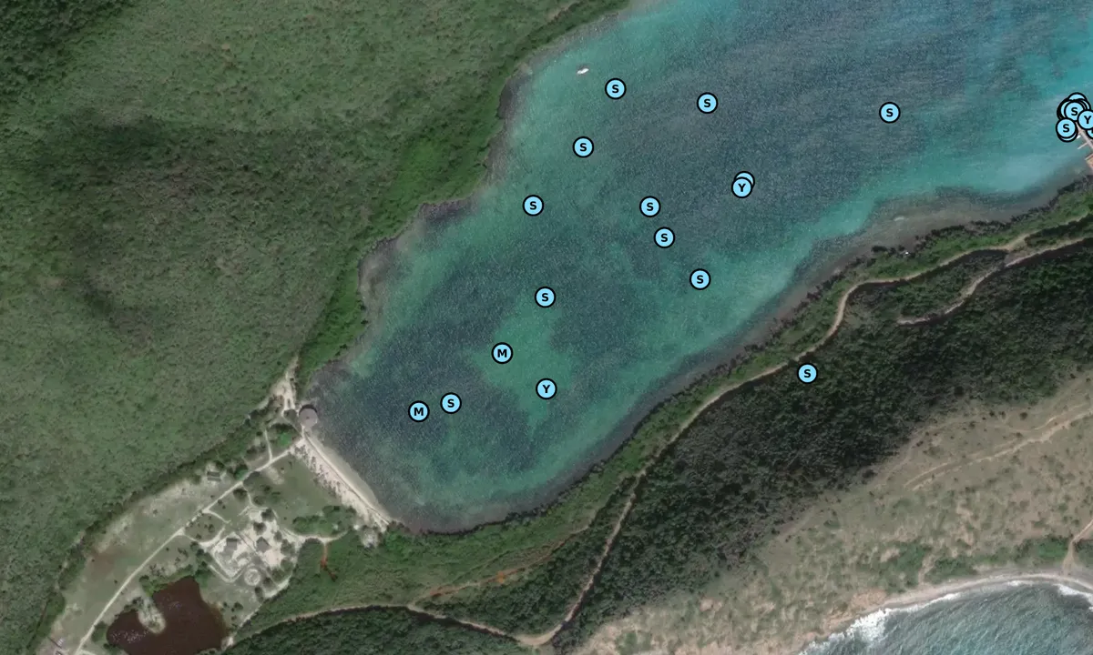 Satelite image of Deep Bay - Virgin Gorda