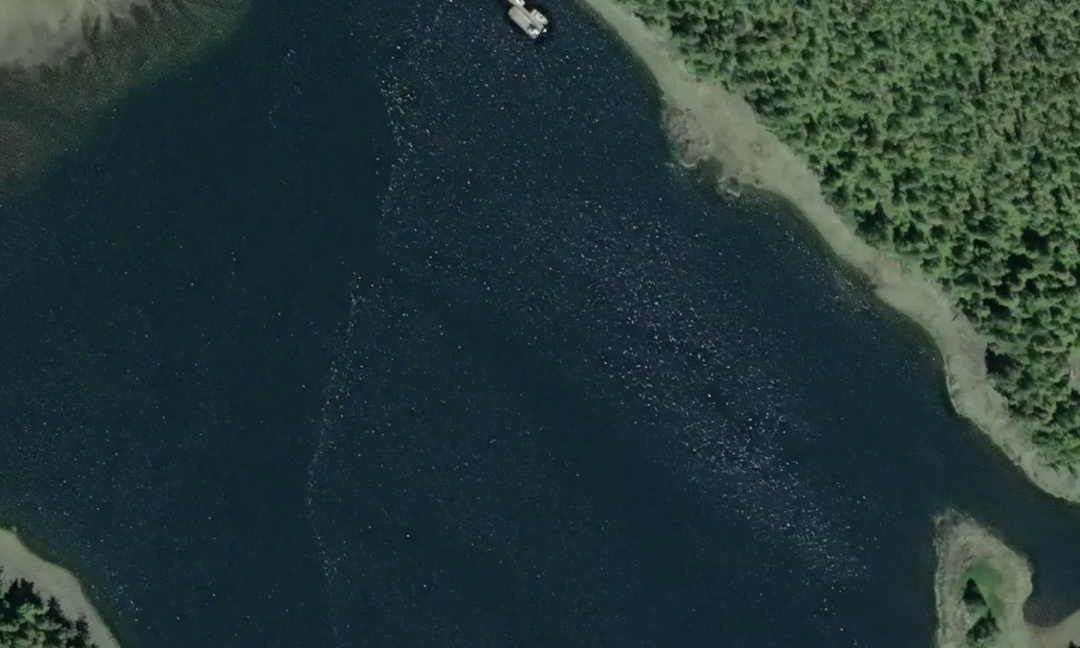 Satelite image of Deer Bay