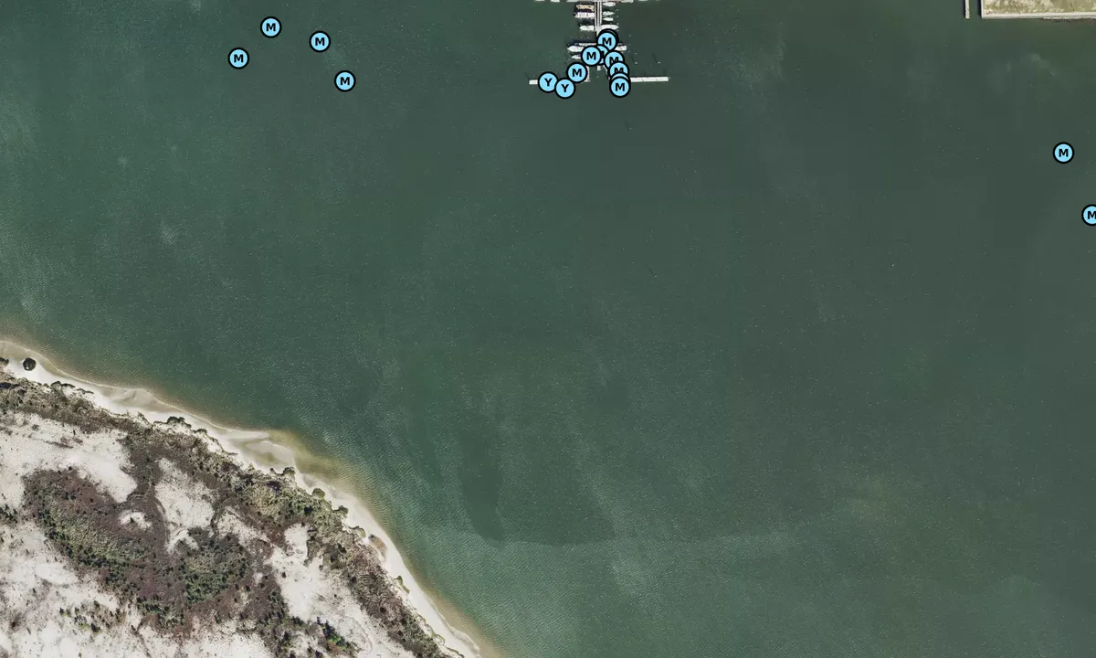 Satelite image of Deer Island