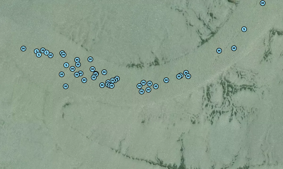 Satelite image of Delaroche Creek