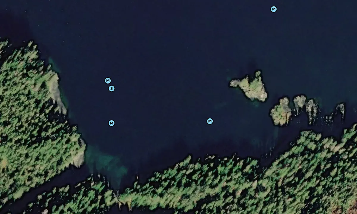 Satelite image of Denmark Cove
