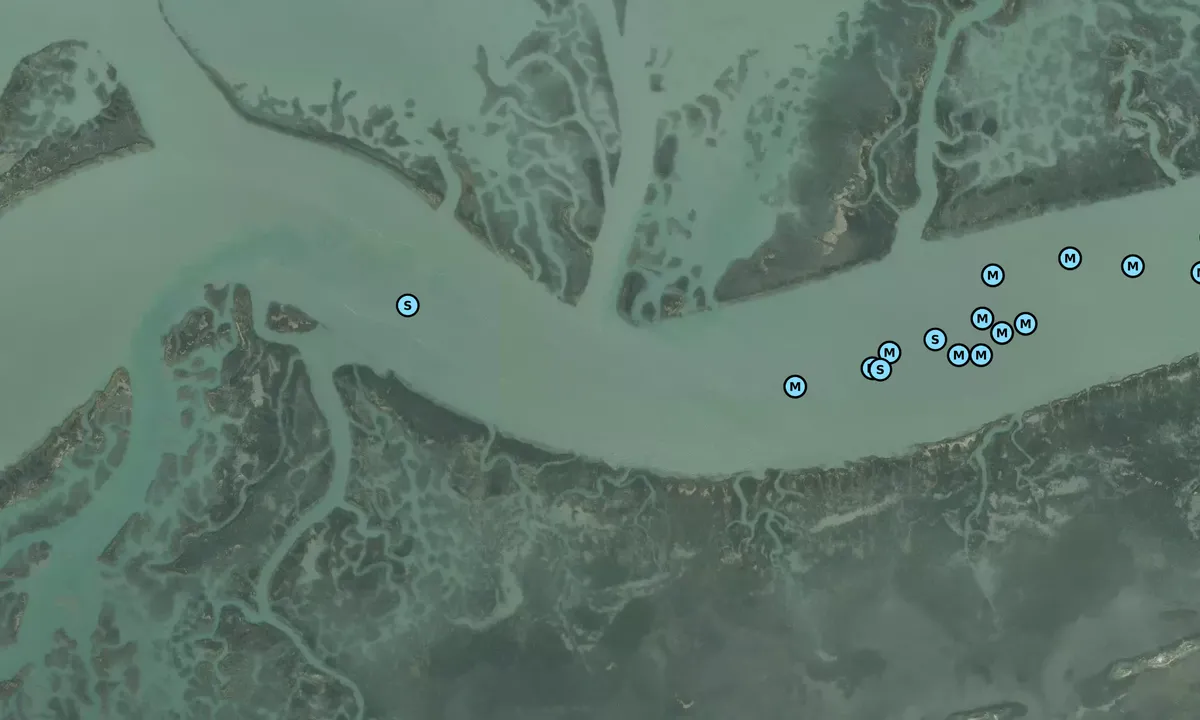 Satelite image of Dewees Creek - 4