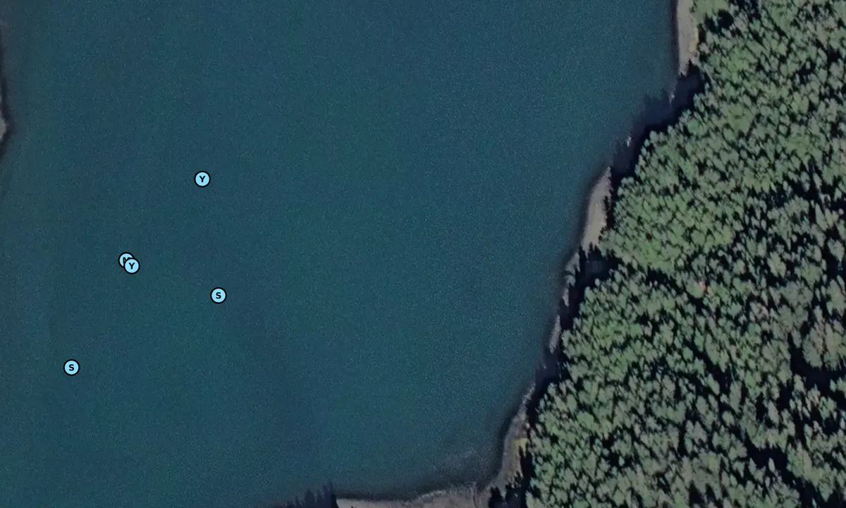 Satelite image of Dicks Arm