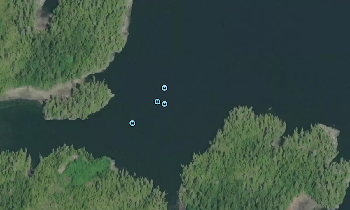 Satelite image of Dickson Island