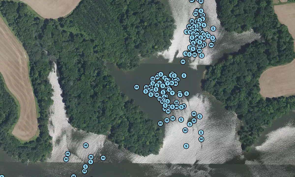 Satelite image of Dividing Creek