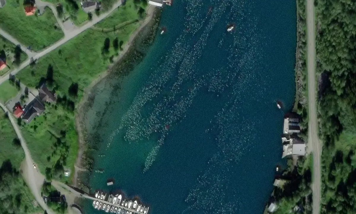 Satelite image of Djupvåg Småbåthavn - Sørreisa