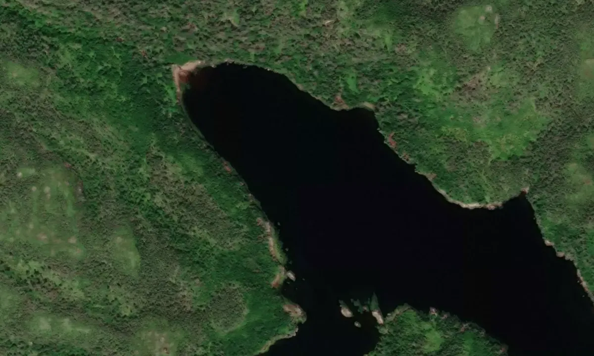 Satelite image of Doctor Harbour