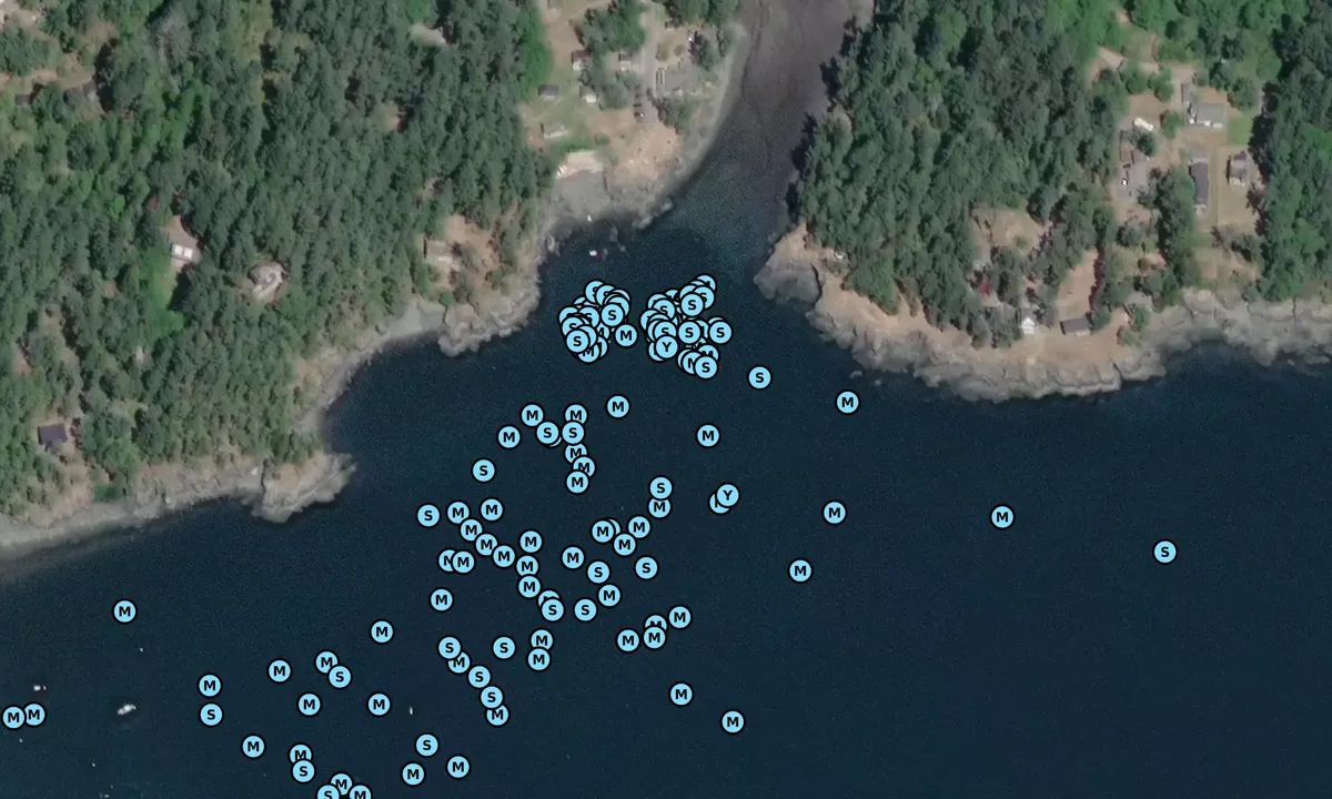 Satelite image of Doe Bay Resort