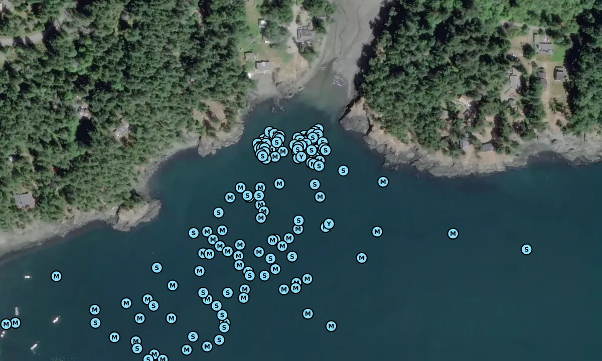 Satelite image of Doe Bay Resort