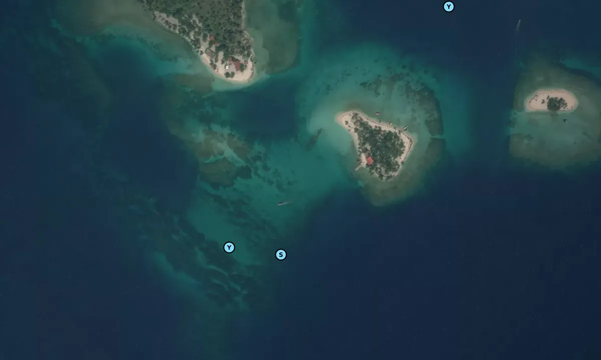 Satelite image of Dog Island - West Lemmon Cays