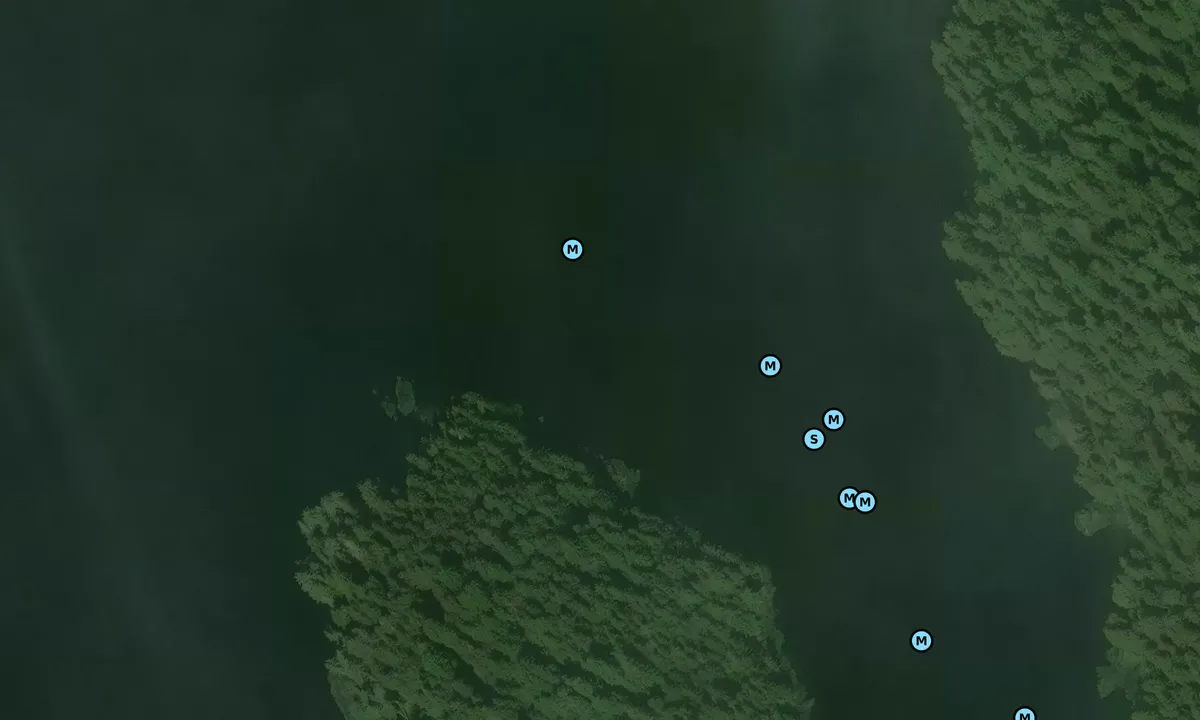 Satelite image of Dogfish Island