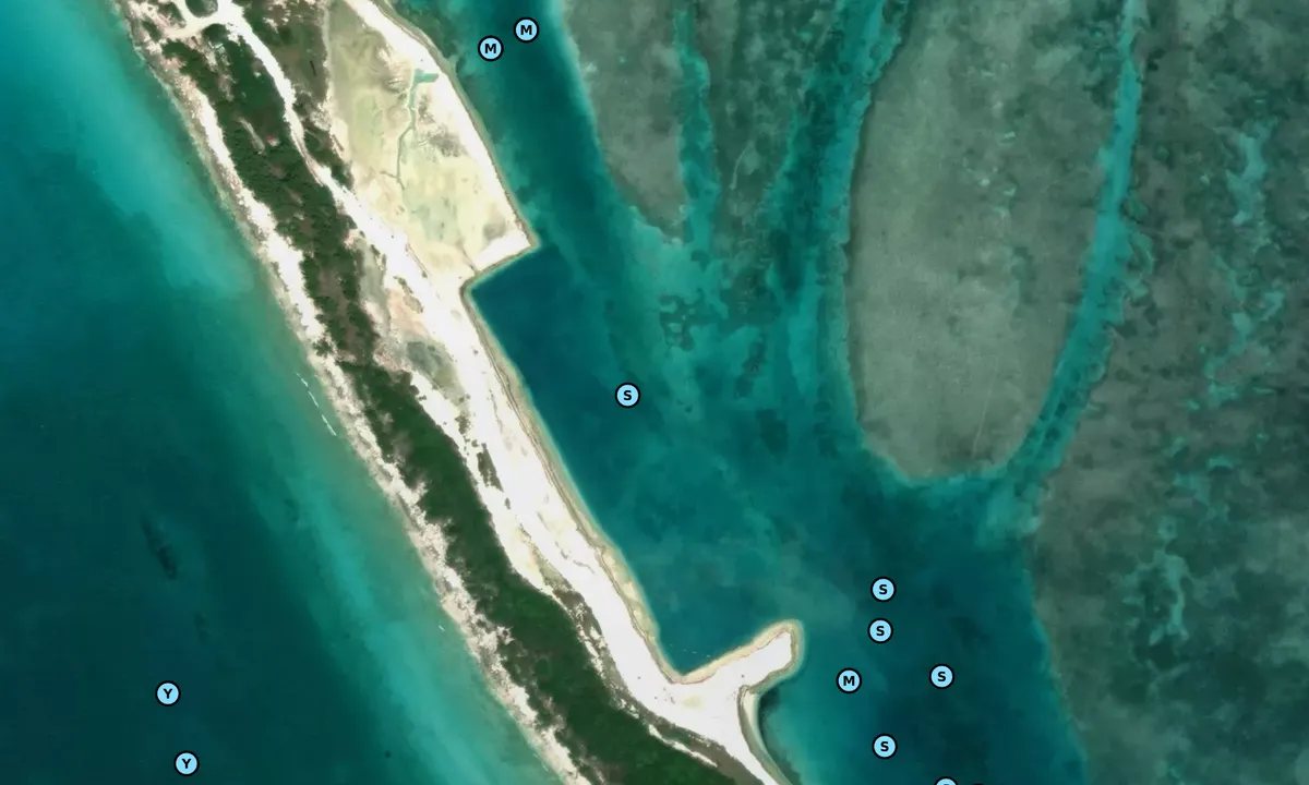 Satelite image of Dollar Harbour