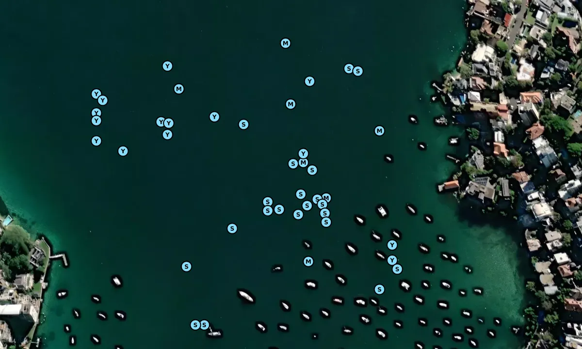 Satelite image of Double Bay - Point Piper