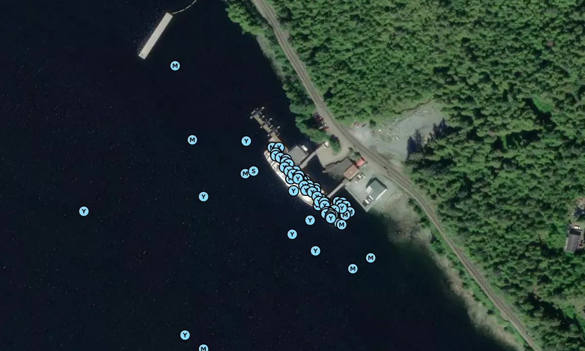 Satelite image of Doyon's Landing