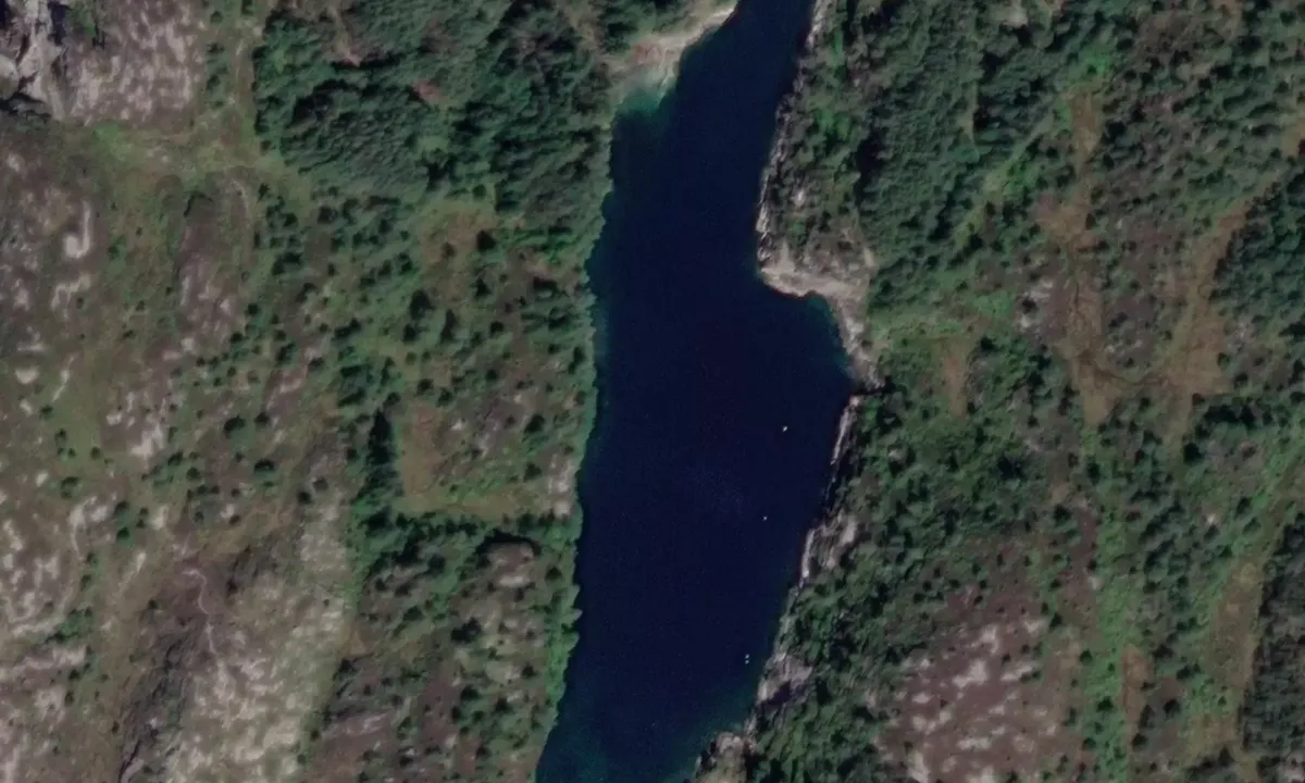 Satelite image of Drønapollen