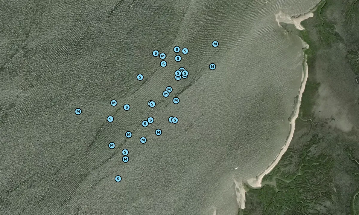 Satelite image of DuBignon Creek