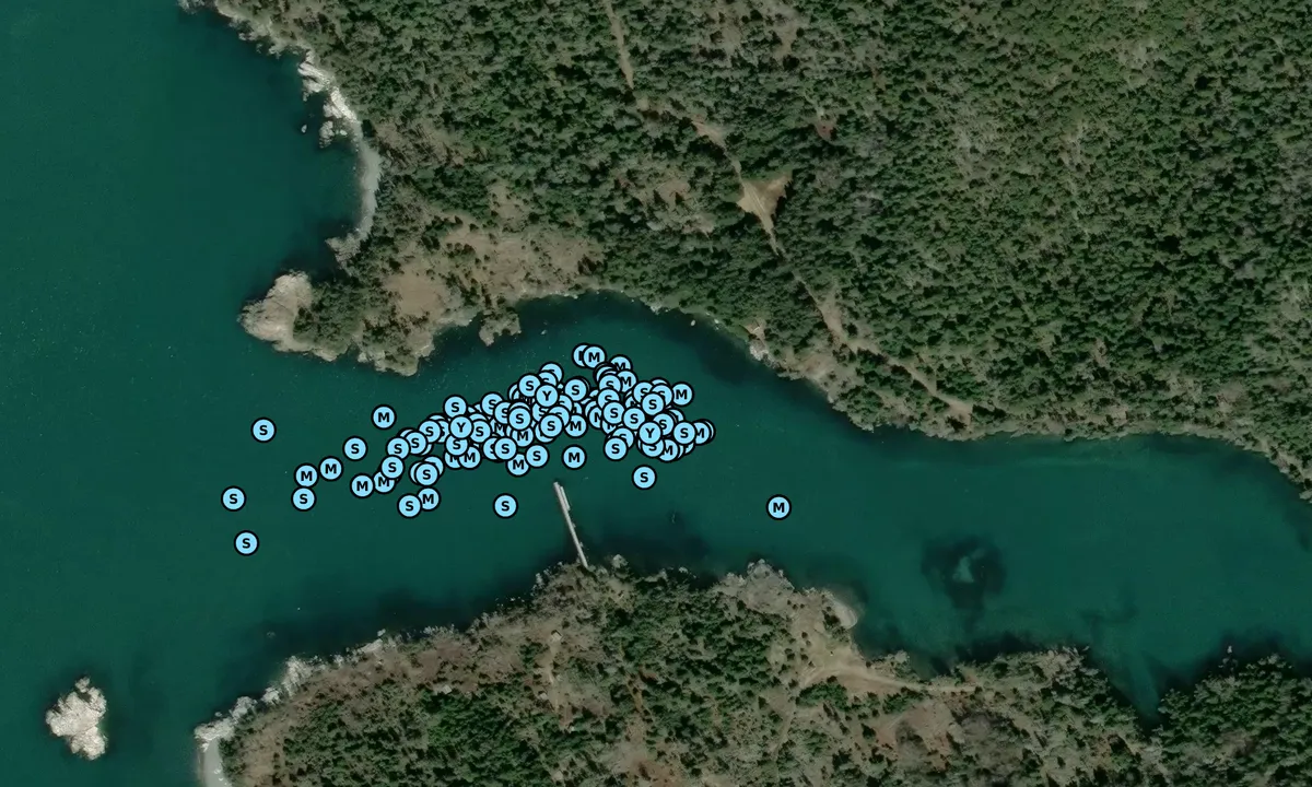 Satelite image of Duck Harbor