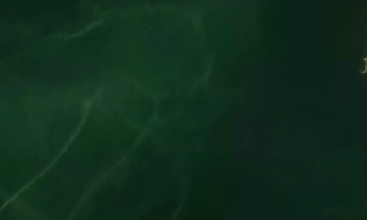 Satelite image of Duck Point Cove