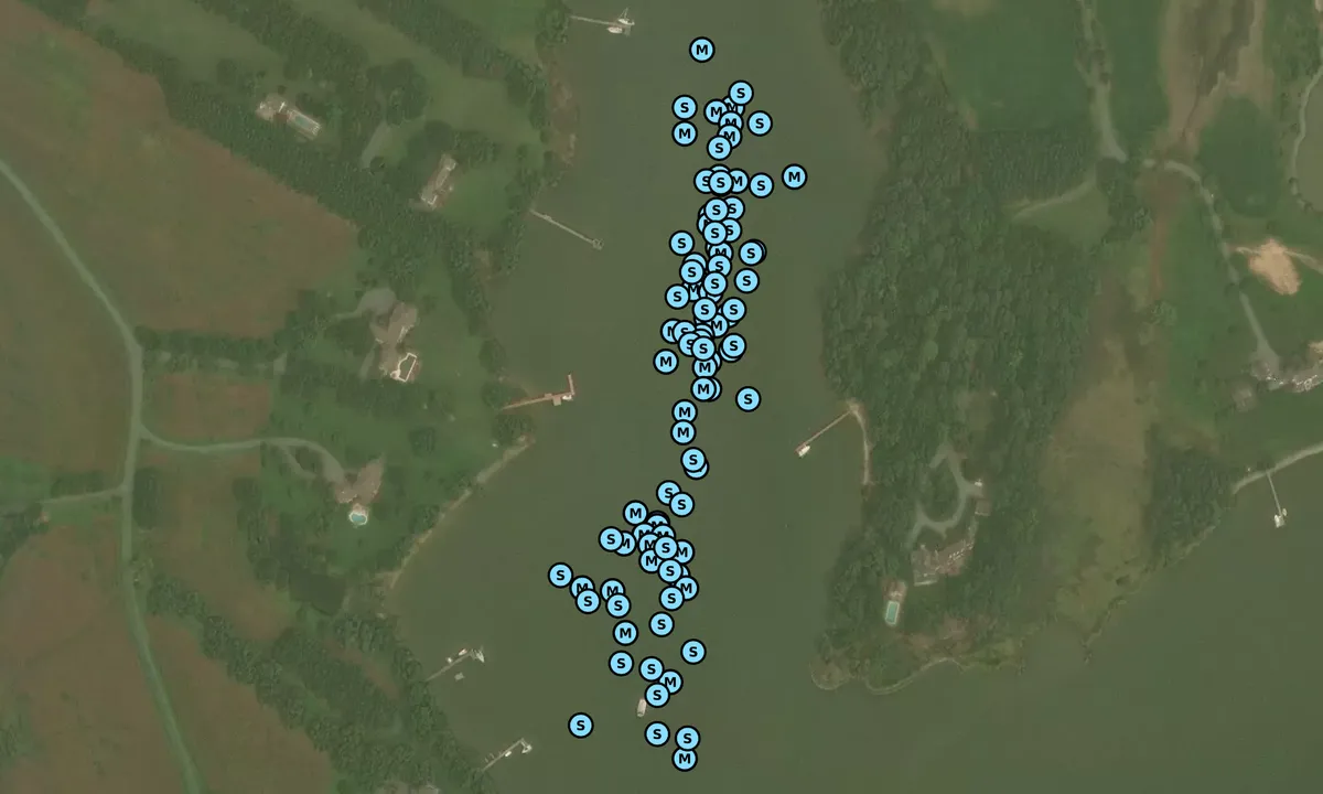 Satelite image of Dun Cove - 2