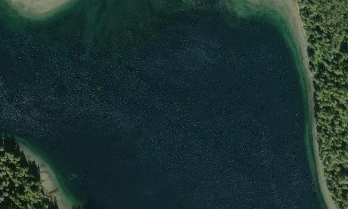 Satelite image of Dunbar Inlet - West