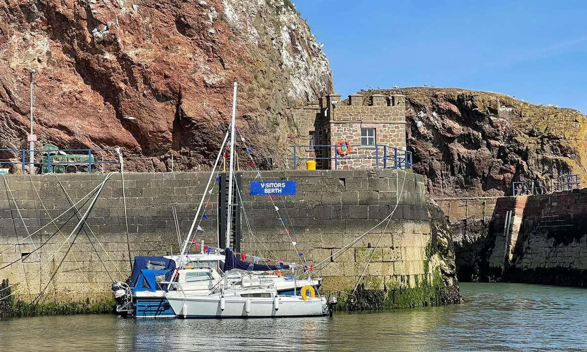 Clearly marked visitor berths in Dunbar