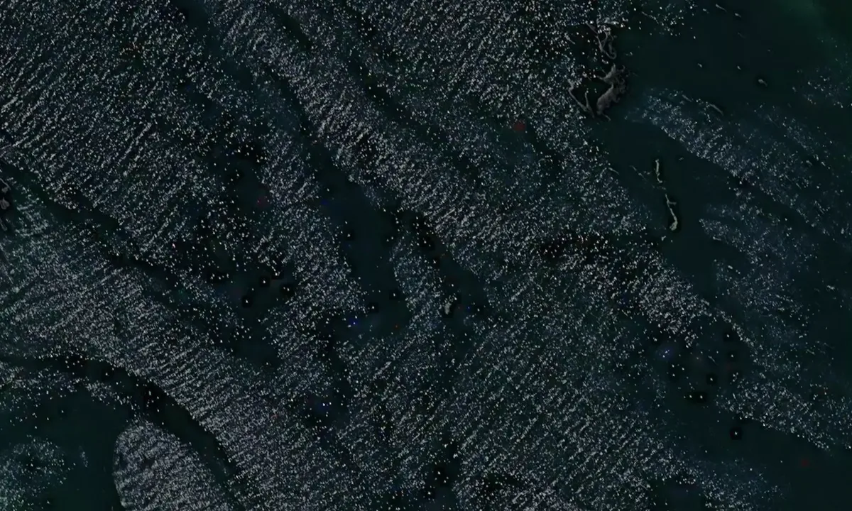 Satelite image of Duncan Bay 1