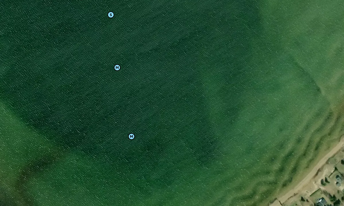 Satelite image of Duncan Bay - Cheboygan