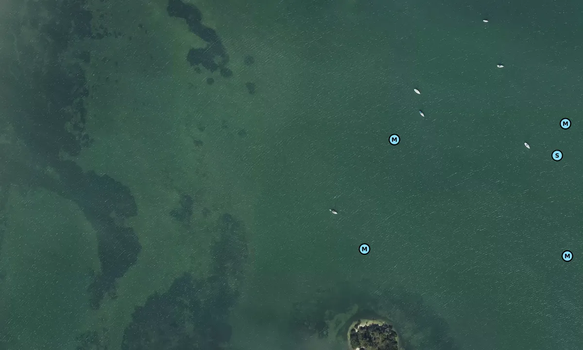Satelite image of Dunedin West 1