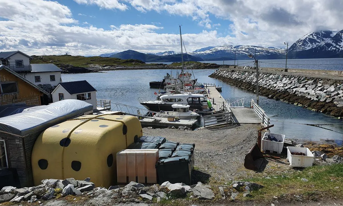 Dunvik Havn: Flytebrygge med tre båser til gjester.