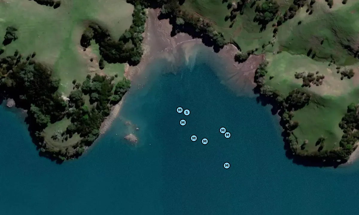 Satelite image of East Bay 2