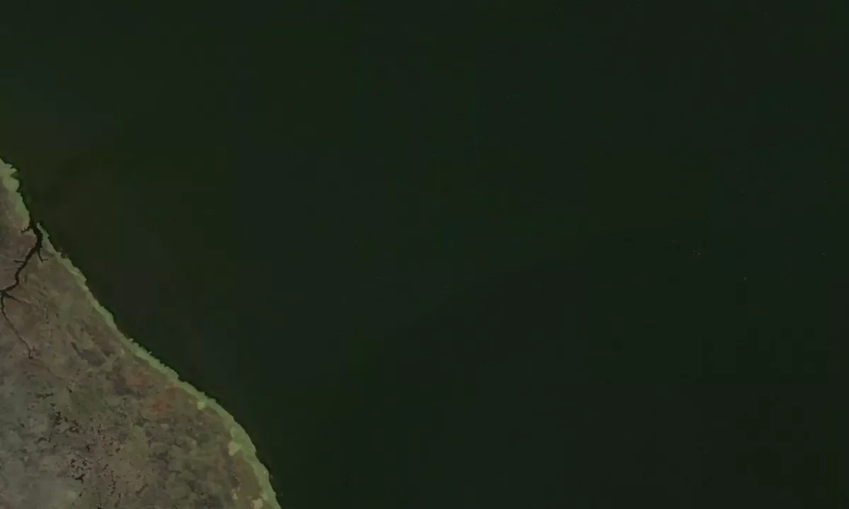 Satelite image of East Bluff Bay
