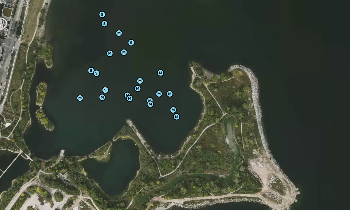 Satelite image of East Humber Bay