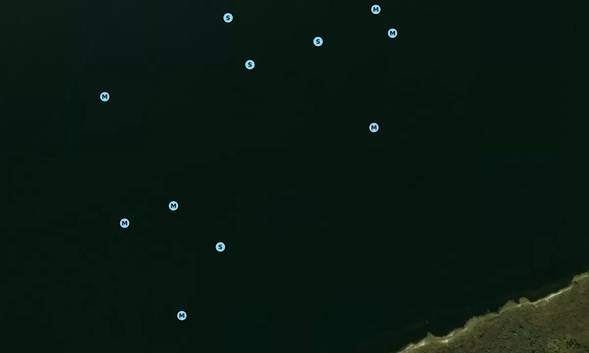 Satelite image of East Lake Lodge