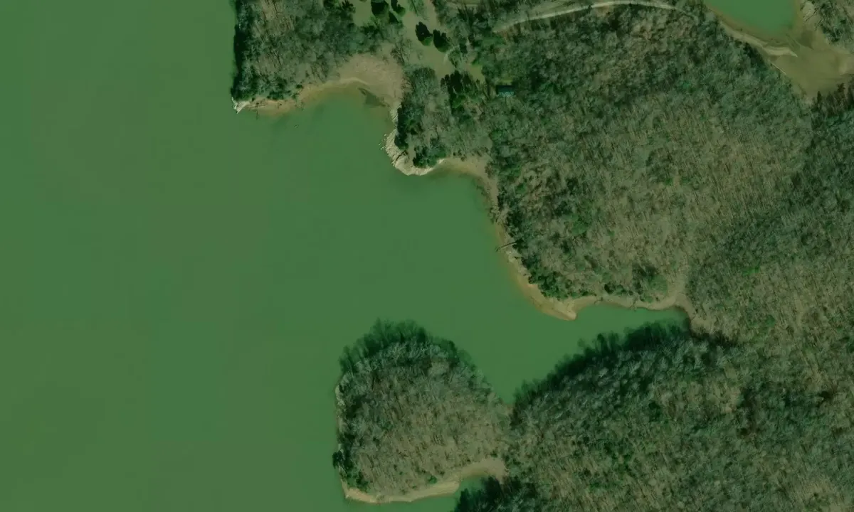 Satelite image of East Rockwood