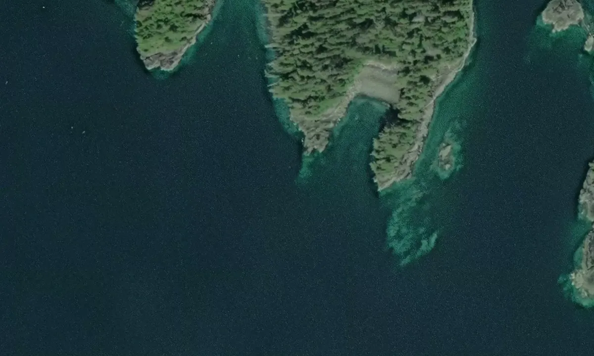 Satelite image of Eastern Bay - Sitka