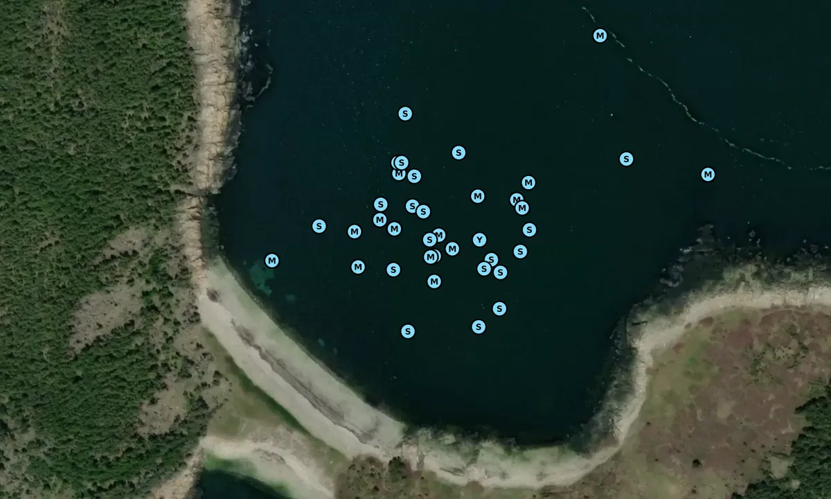 Satelite image of Eastern Cove