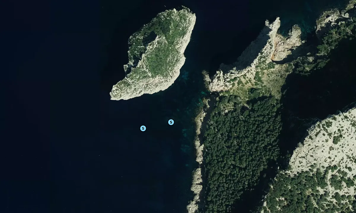 Satelite image of El Colomer