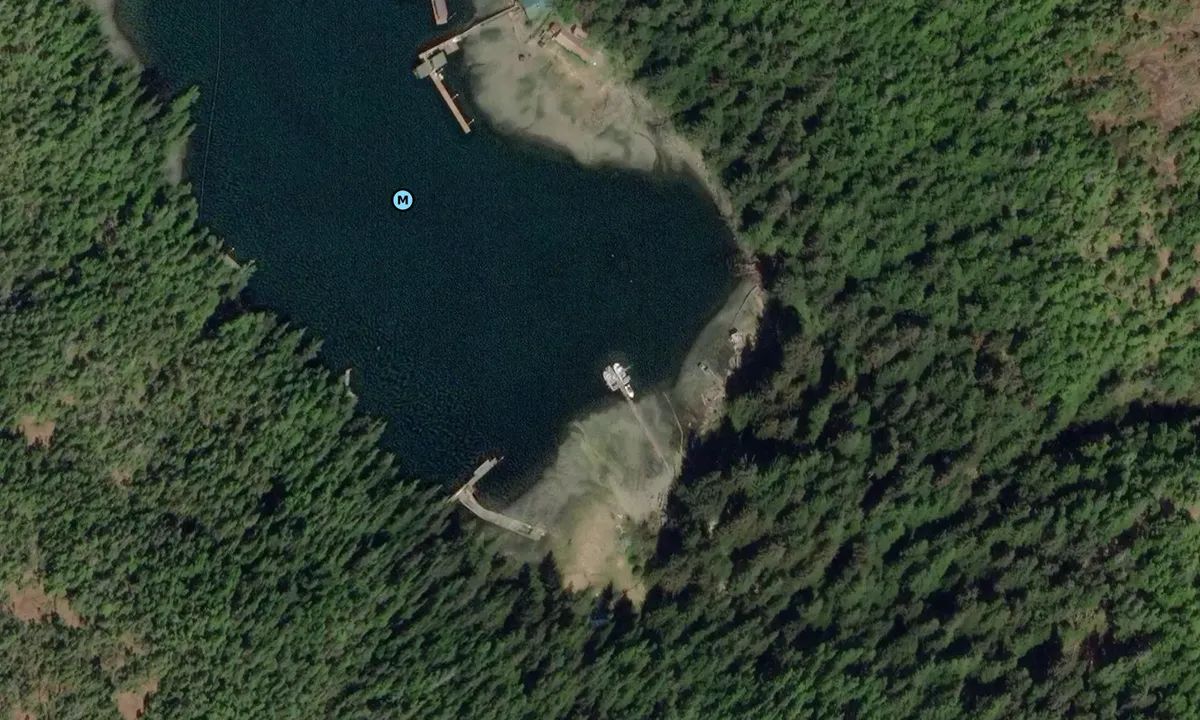 Satelite image of Elfin Cove