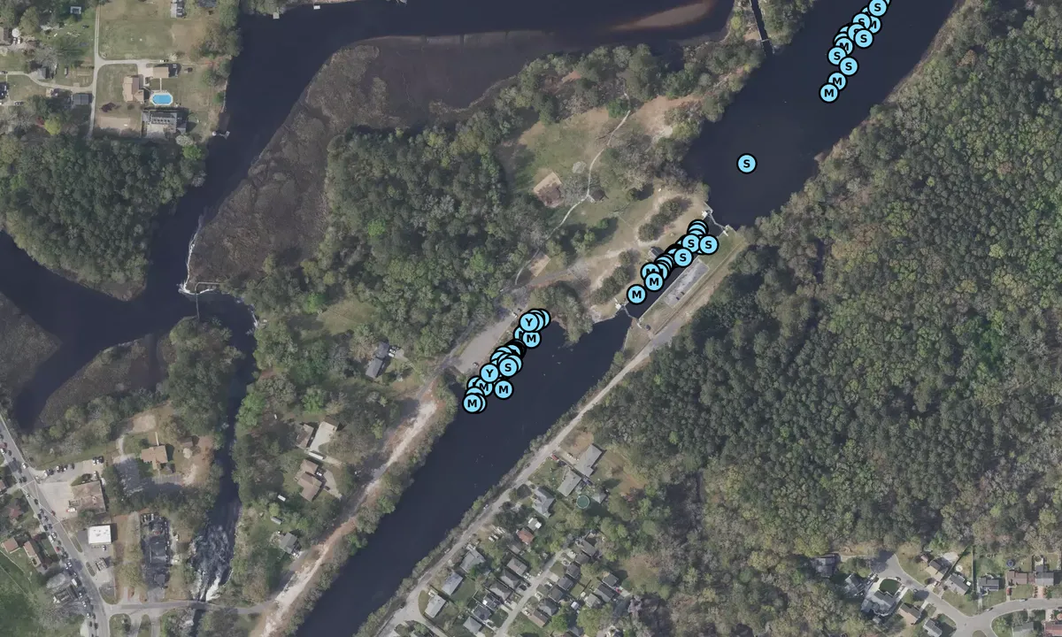 Satelite image of Elizabeth's Dock