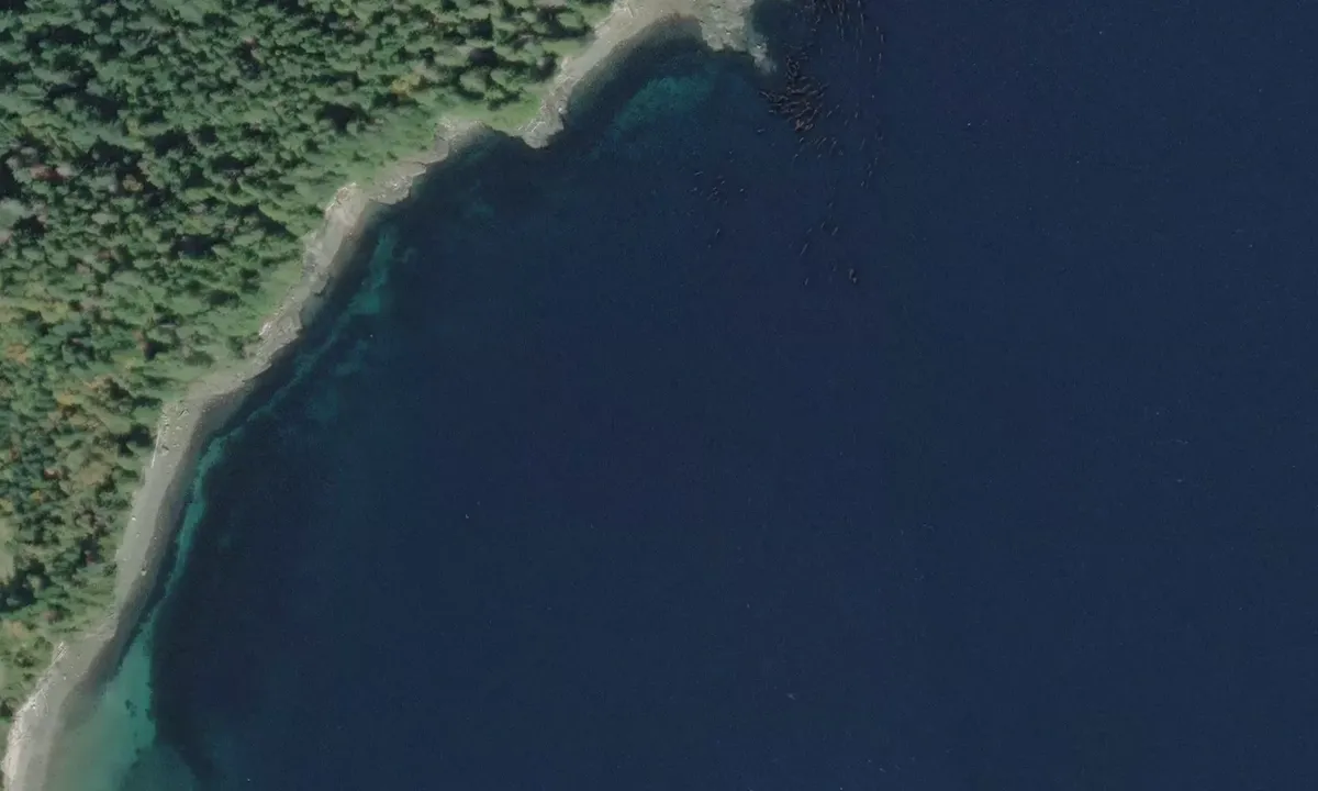 Satelite image of Elk Bay