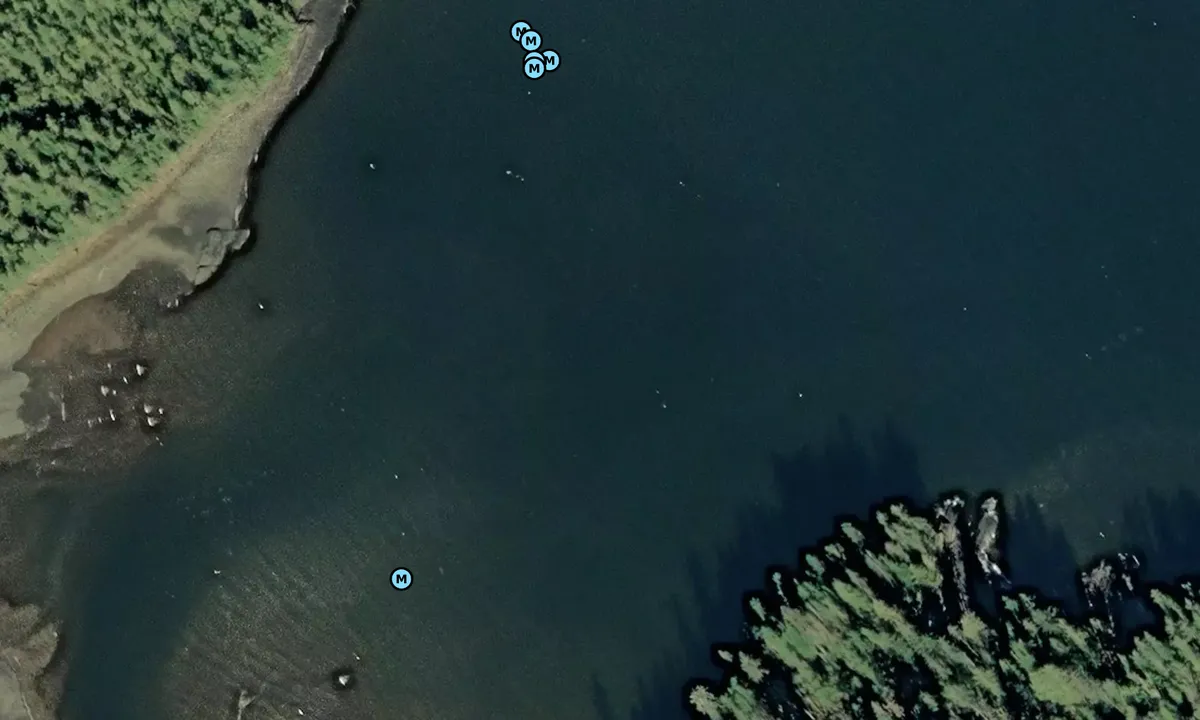 Satelite image of Ella Creek (mooring buoy)