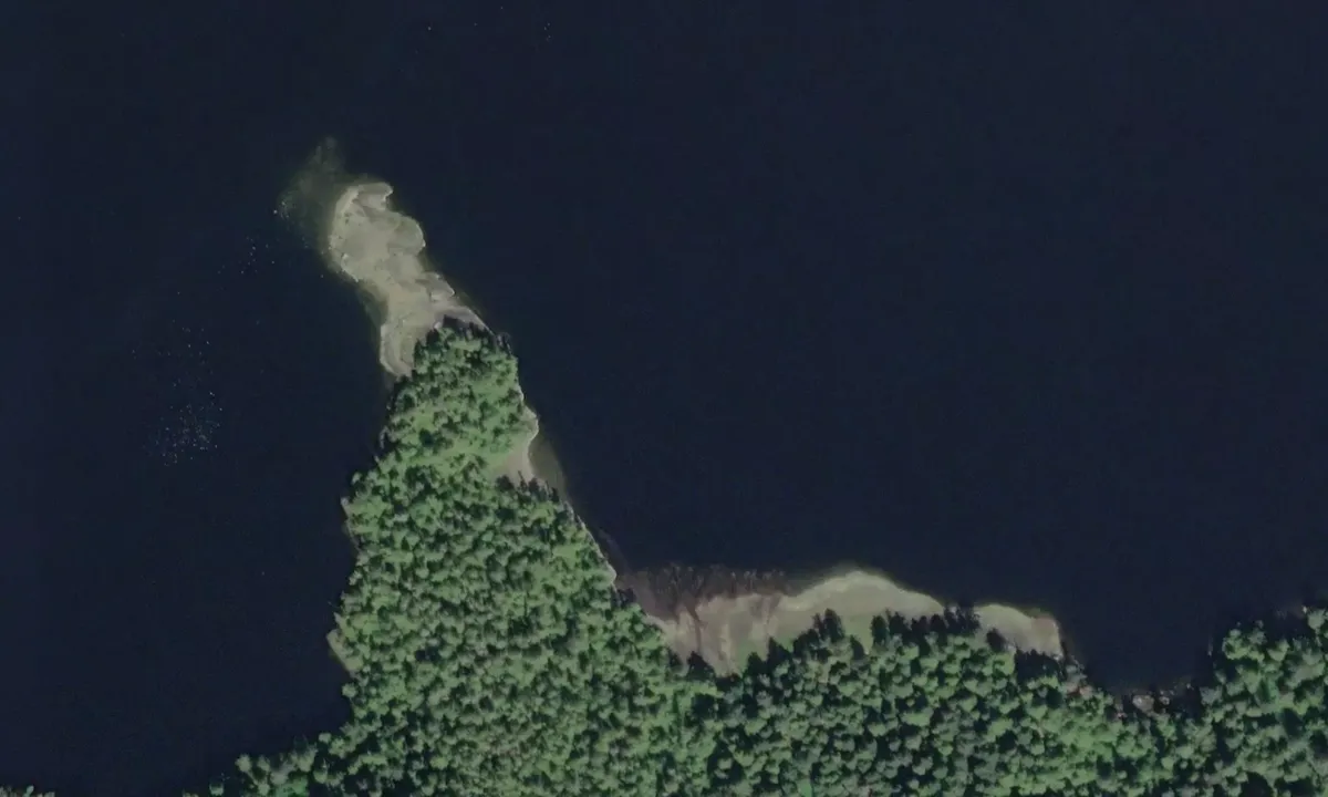 Flyfoto av Ellerslie Bay