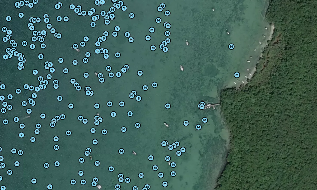 Satelite image of Elliott Key - 1
