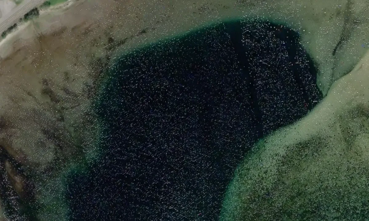 Satelite image of Elva