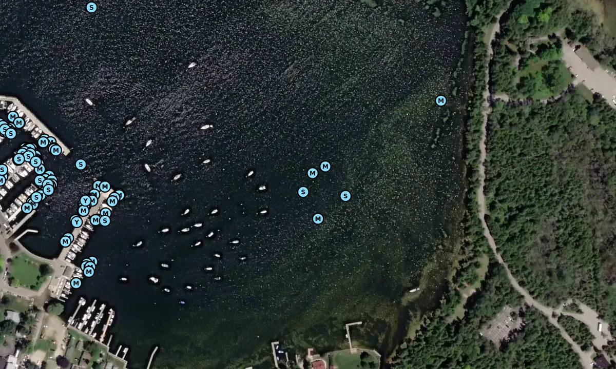 Satelite image of End of marked Channel anchorage outside mooring ar