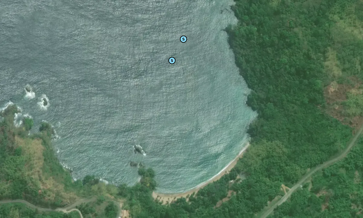 Satelite image of Englishman's Bay