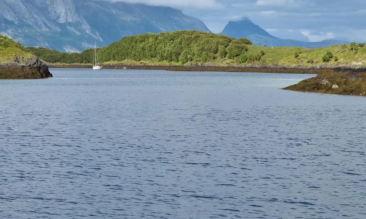 Engøya: {"base": "no", "no": "Ser mot ankerplassen p\u00e5 Hjell\u00f8.", "se": "Ser mot ankarplatsen vid Hjell\u00f6.", "en": "Looking towards the anchorage at Hjell\u00f8.", "da": "Ser mod ankerpladsen ved Hjell\u00f8.", "fr": "Regarde vers la zone de mouillage \u00e0 Hjell\u00f8.", "de": "Blick auf den Ankerplatz bei Hjell\u00f8.", "es": "Mirando hacia la zona de fondeo en Hjell\u00f8.", "it": "Rivolto verso il punto d'ancoraggio di Hjell\u00f8.", "pt": "Olhar em dire\u00e7\u00e3o ao local de ancoragem em Hjell\u00f8.", "nl": "<p>Uitzicht op de ankerplaats bij Hjell\u00f8.</p>", "pl": "Patrzy na kotwicowisko na Hjell\u00f8.", "uk": "\u0414\u0438\u0432\u0438\u0441\u044c \u043d\u0430 \u044f\u043a\u0456\u0440\u043d\u0443 \u0441\u0442\u043e\u044f\u043d\u043a\u0443 \u043d\u0430 \u0425\u044c\u0454\u043b\u043b\u0456.", "ro": "Privind spre locul de ancorare la Hjell\u00f8.", "tr": "Hjell\u00f8 demirleme yerine bak.", "el": "\u039c\u03b5 \u03b8\u03ad\u03b1 \u03c0\u03c1\u03bf\u03c2 \u03c4\u03bf\u03bd \u03c7\u03ce\u03c1\u03bf \u03b1\u03b3\u03ba\u03c5\u03c1\u03bf\u03b2\u03bf\u03bb\u03af\u03b1\u03c2 \u03c3\u03c4\u03bf Hjell\u00f8.", "cs": "Hledejte kotevn\u00ed m\u00edsto na Hjell\u00f8.", "hu": "N\u00e9zd a horgonyz\u00f3helyet Hjell\u00f8-n.", "fi": "Katsovat ankkuripaikkaa Hjell\u00f8lla.", "bg": "\u0413\u043b\u0435\u0434\u0430 \u043a\u044a\u043c \u043a\u043e\u0442\u0432\u0435\u043d\u043e\u0442\u043e \u043c\u044f\u0441\u0442\u043e \u043d\u0430 Hjell\u00f8.", "sr": "\u0418\u0437\u0433\u043b\u0435\u0434 \u043f\u0440\u0435\u043c\u0430 \u043c\u0435\u0441\u0442\u0443 \u0437\u0430 \u0441\u0438\u0434\u0440\u0435\u045a\u0435 \u043d\u0430 \u0425j\u0435\u043b\u043b\u0443.", "et": "Vaade Hjell\u00f8 ankrupaigale.", "lv": "Skaties uz enkuru vietu Hjell\u00f8.", "lt": "\u017dvelgia \u012f inkaravimo viet\u0105 Hjell\u00f8."}