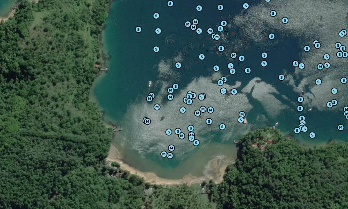 Satelite image of Enseada do Sitio Forte